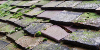 Llangrannog roof repair costs